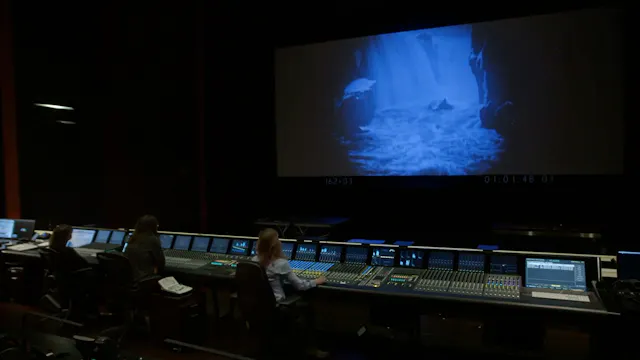 Making Waves: The Art Of Cinematic So...