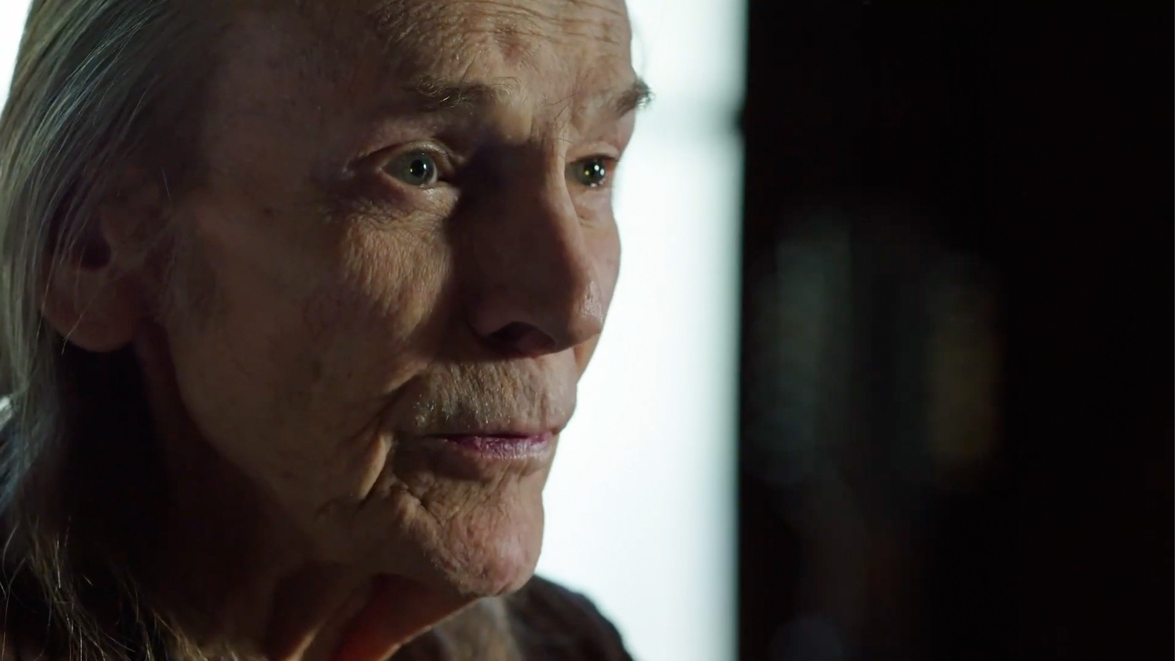Gordon Lightfoot: If You Could Read My Mind - Official Trailer