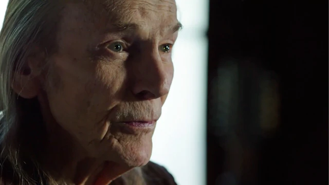 Gordon Lightfoot: If You Could Read My Mind - Official Trailer