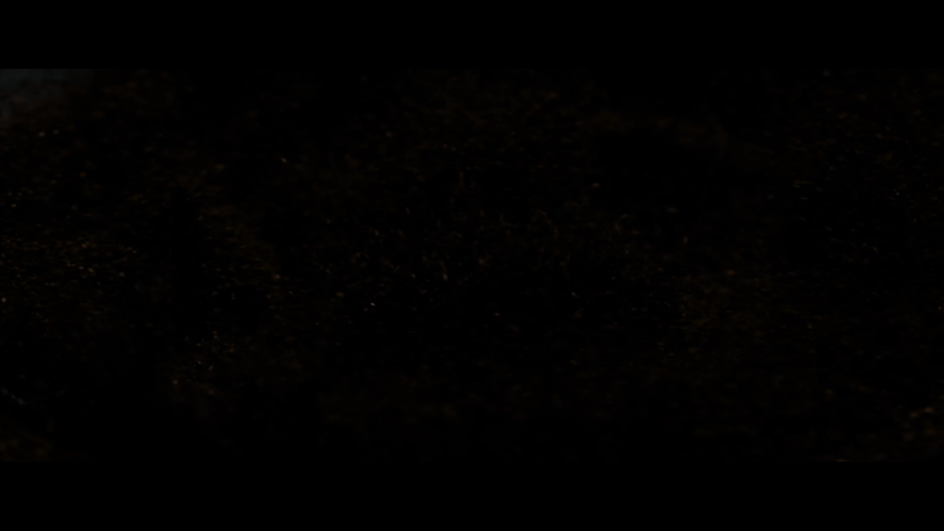 Bad Omens – Dethrone ProRes