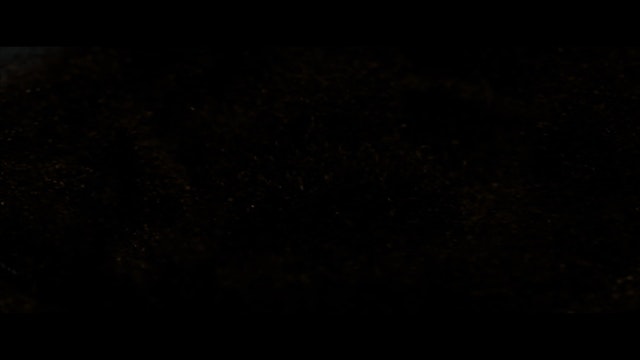 Bad Omens - Dethrone ProRes