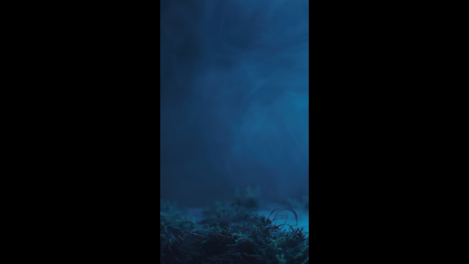 Hand Rising From Graveyard