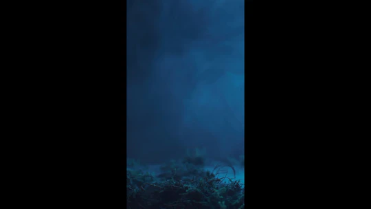 Hand Rising From Graveyard