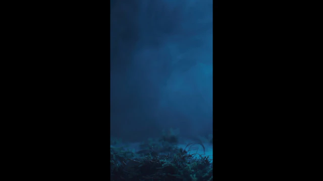 Hand Rising From Graveyard