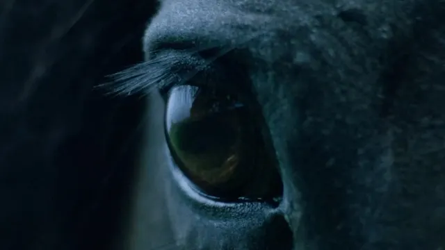 Kublai Khan TX - The Mountain of Cors...