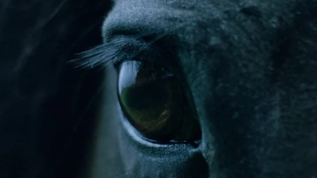 Kublai Khan TX - The Mountain of Corsicana