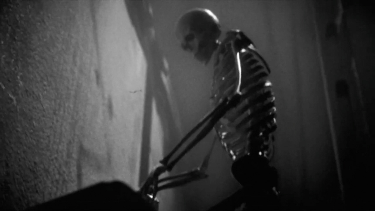 Sonic Temple Festival