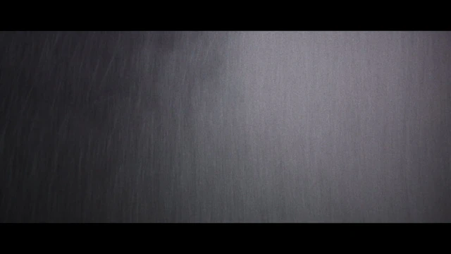 Palaye Royale - Tonight Is The Night I Die