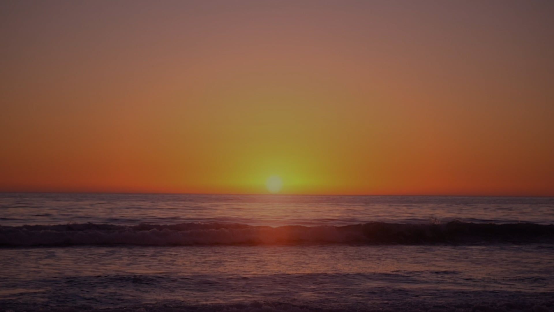 MEG MYERS – Anyway You Wanna Love (Official Music Video)