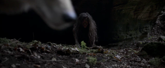 The Wolf, the Fox, & the Leopard