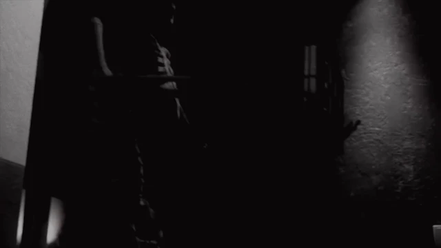 Sonic Temple 2026 - Lineup Announce