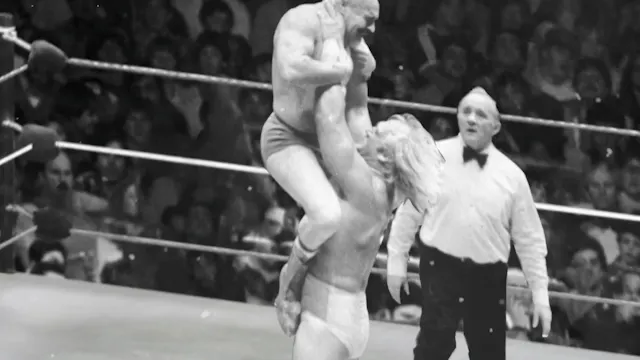 The Sheik