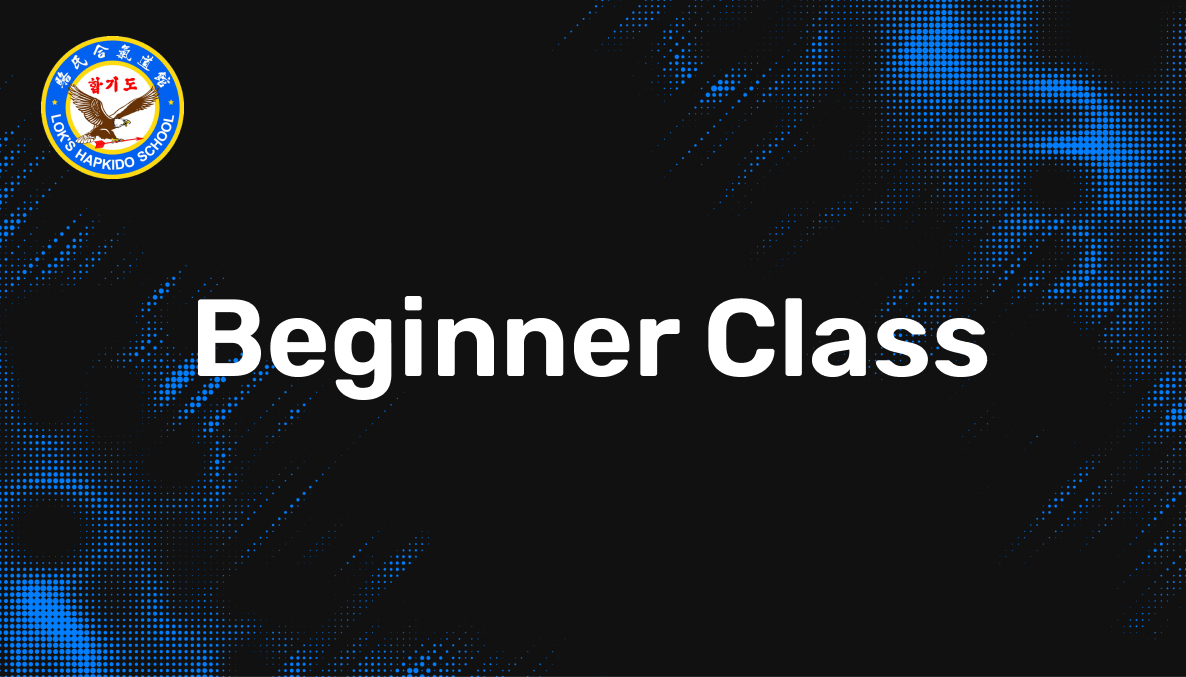 Lok's Hapkido - Beginner Class