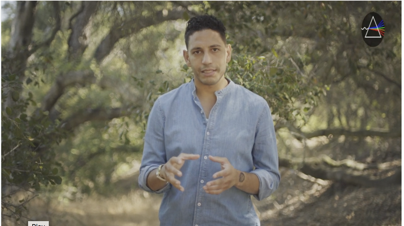 Why Do We Tell Stories