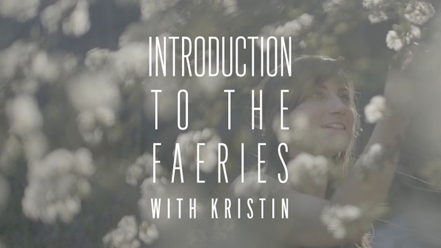 Introduction To the Faeries