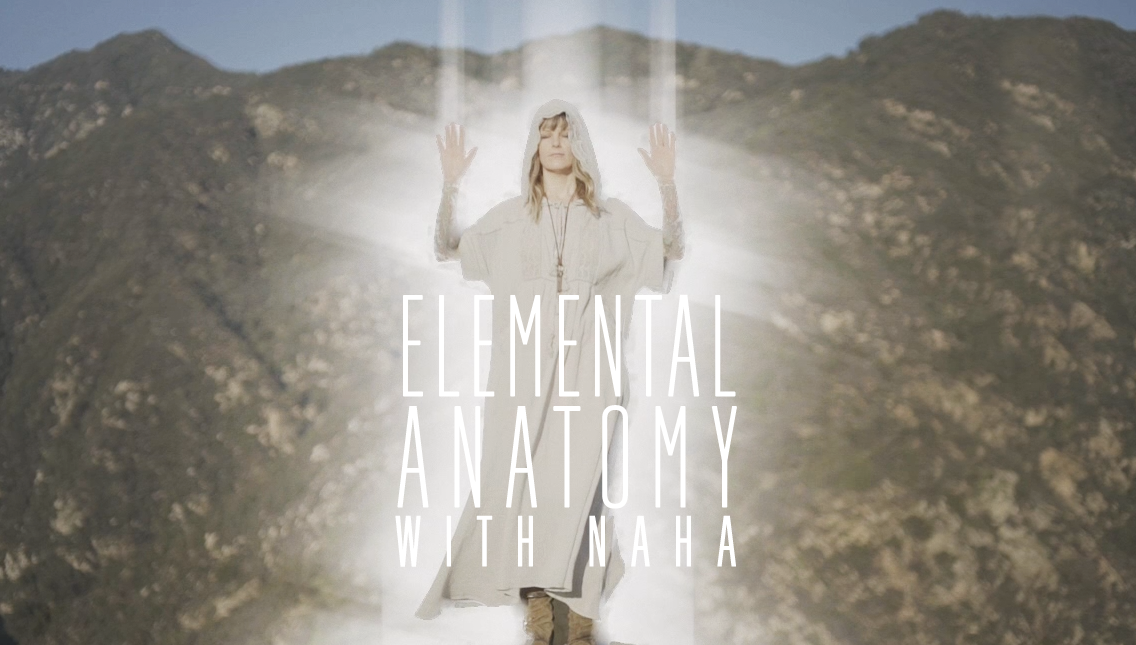 Elemental Anatomy