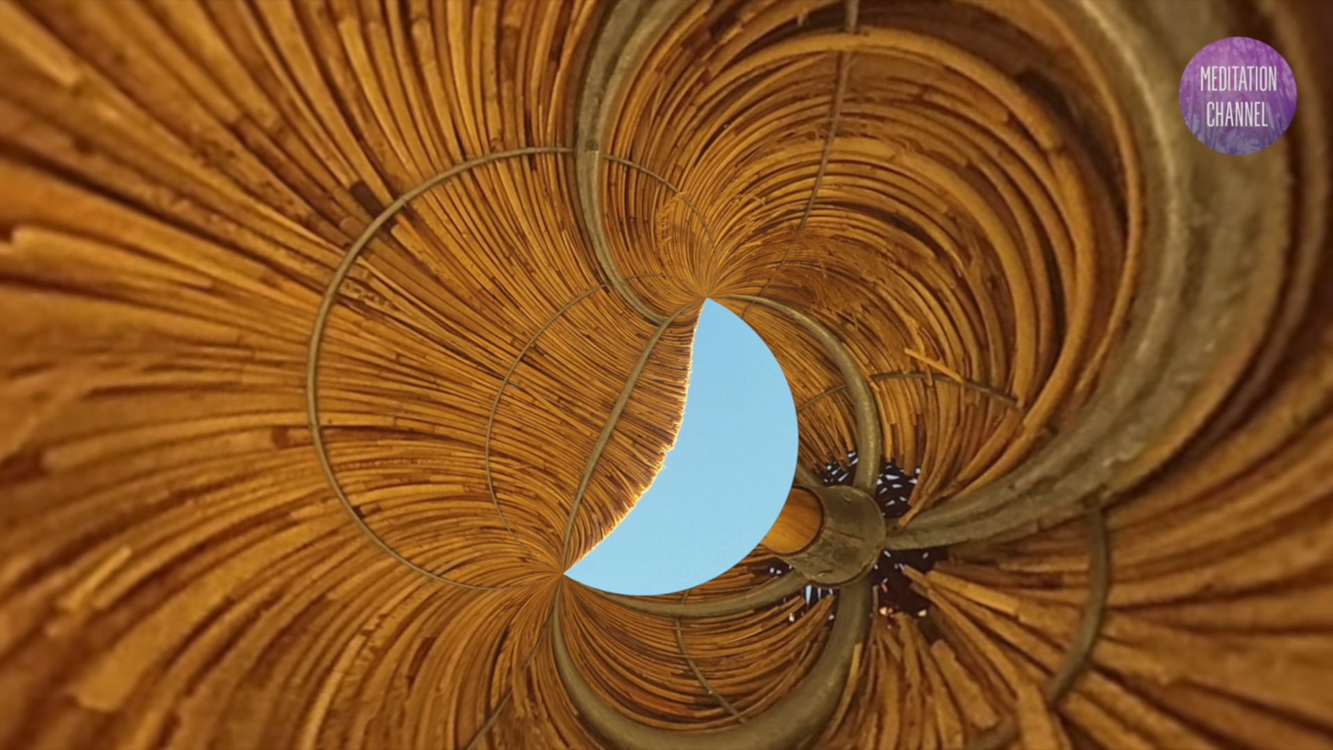 Full Moon in Leo Guided Meditation Ritual 