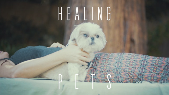 Healing Pets