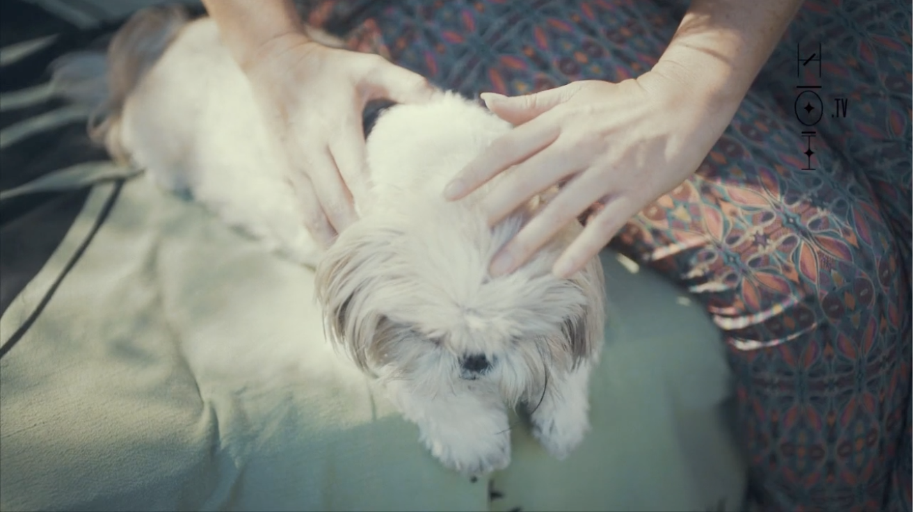 Sending Positive Frequency Vibrations