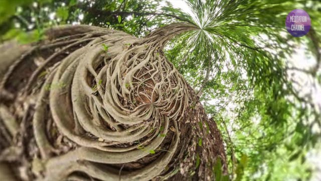 New Moon in Virgo Meditation Ritual