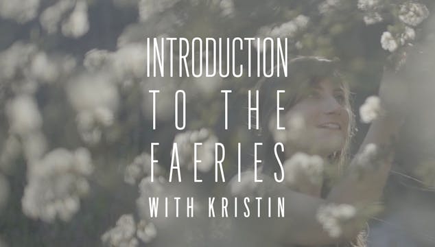 Introduction to the Faeries
