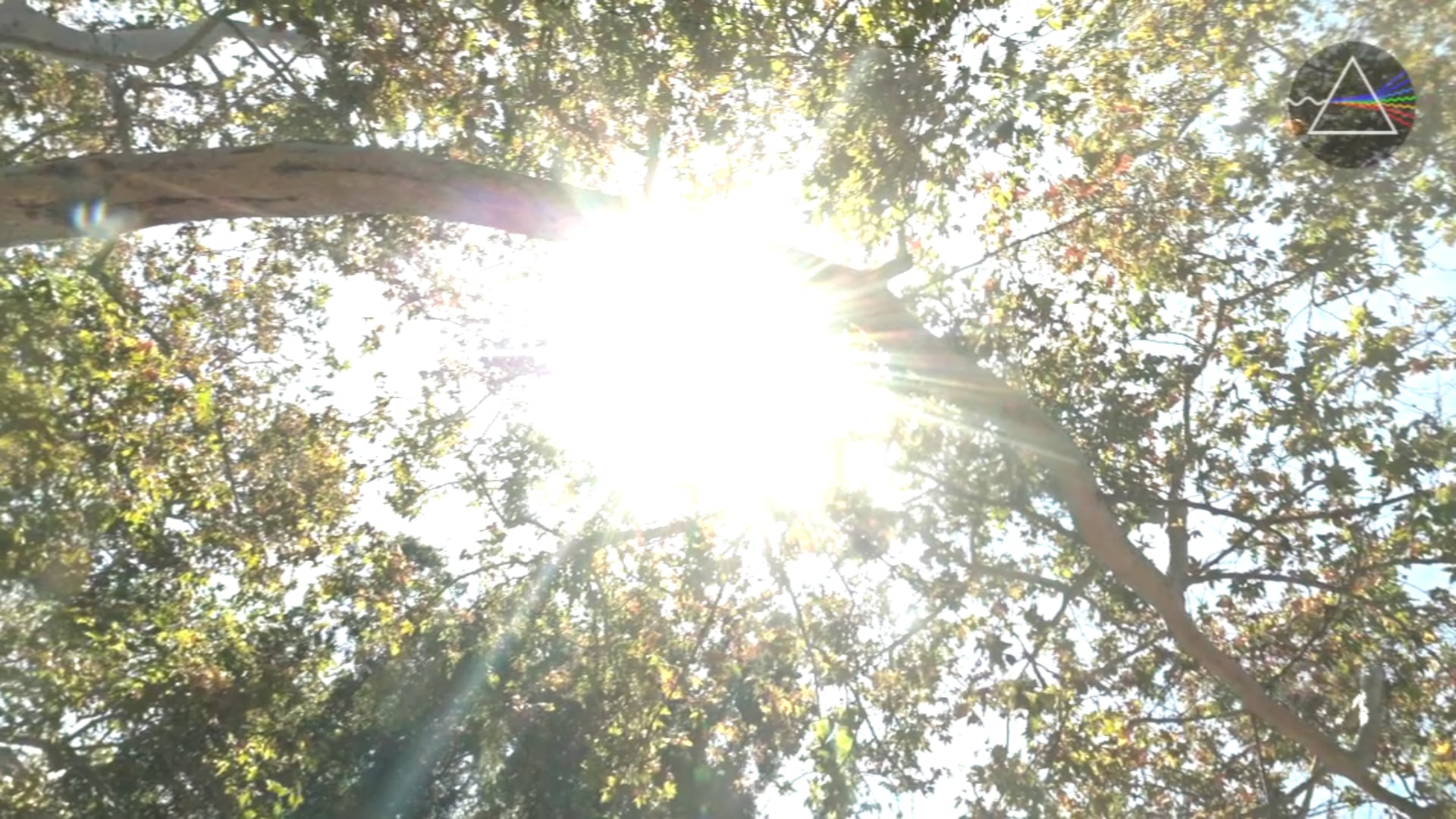 Full Moon in Sagittarius Meditation Ritual