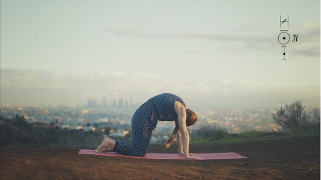 Yoga Moves for a Virgo