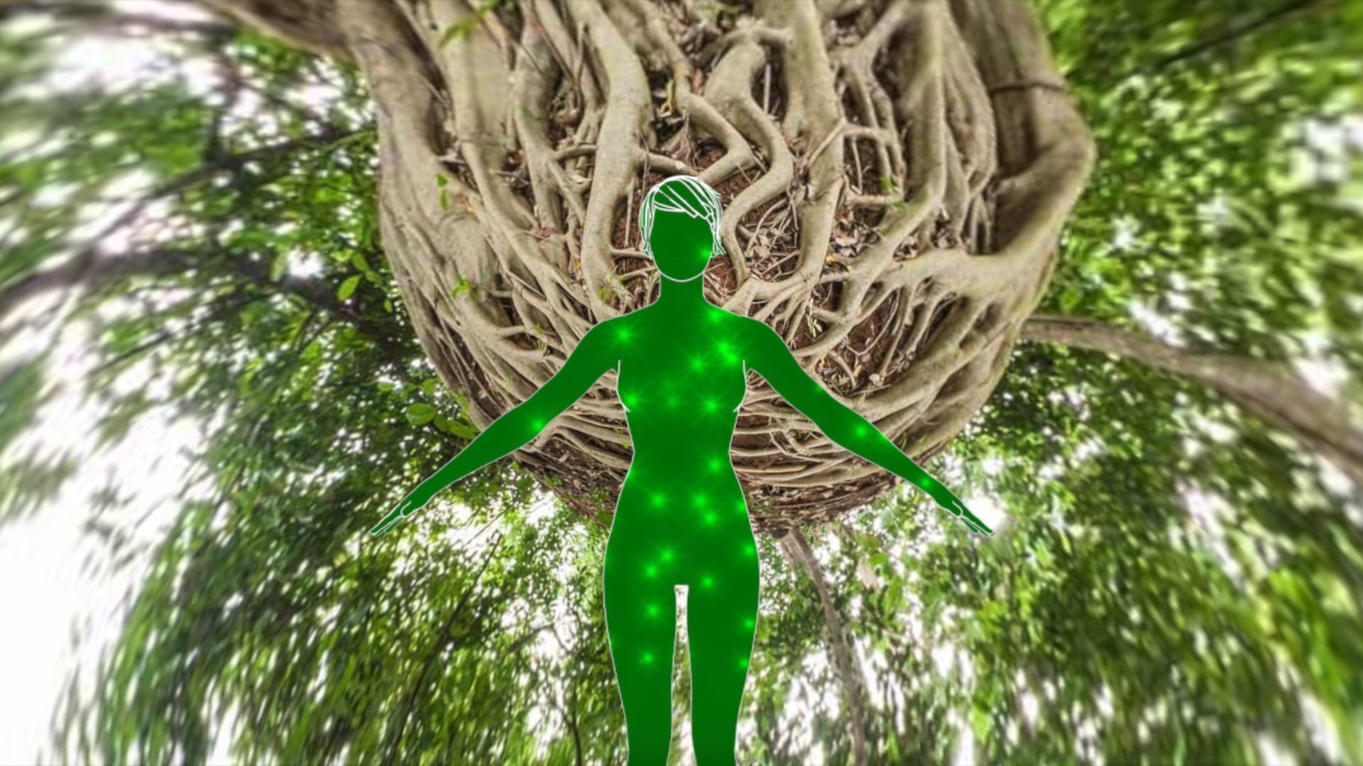 Full Moon in Scorpio Guided Meditation Ritual