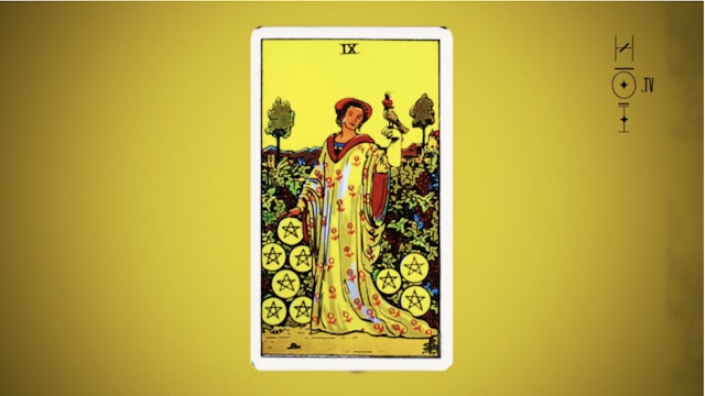 Nine of Pentacles