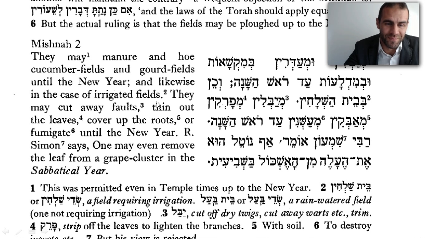 #18 ✡ Shvi'it 2:2-4:2