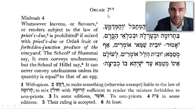#23 ✡ Orlah 2:4-Bikkurim 2:6