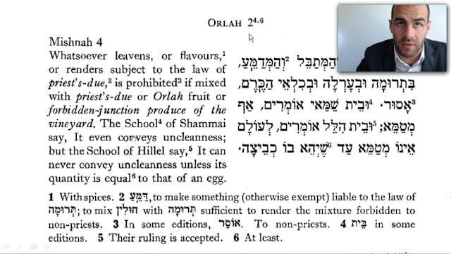 #23 ✡ Orlah 2:4-Bikkurim 2:6