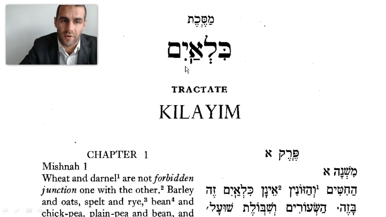 #14 ✡ Demai 2:1-Kilayim 1:1
