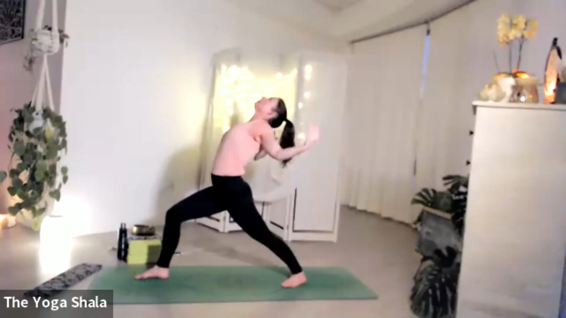 Vinyasa - New Moon Purification Practice - 20220629