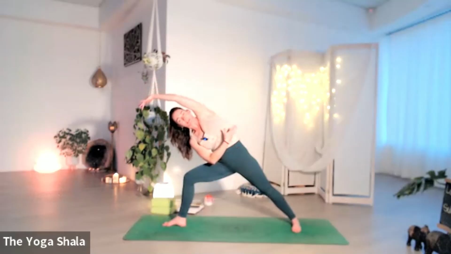 Vinyasa -  Harmonising the Self to Harmonise the World - 20220727