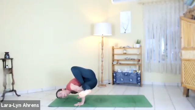 Baby Grasshopper & Grasshopper Pose -...