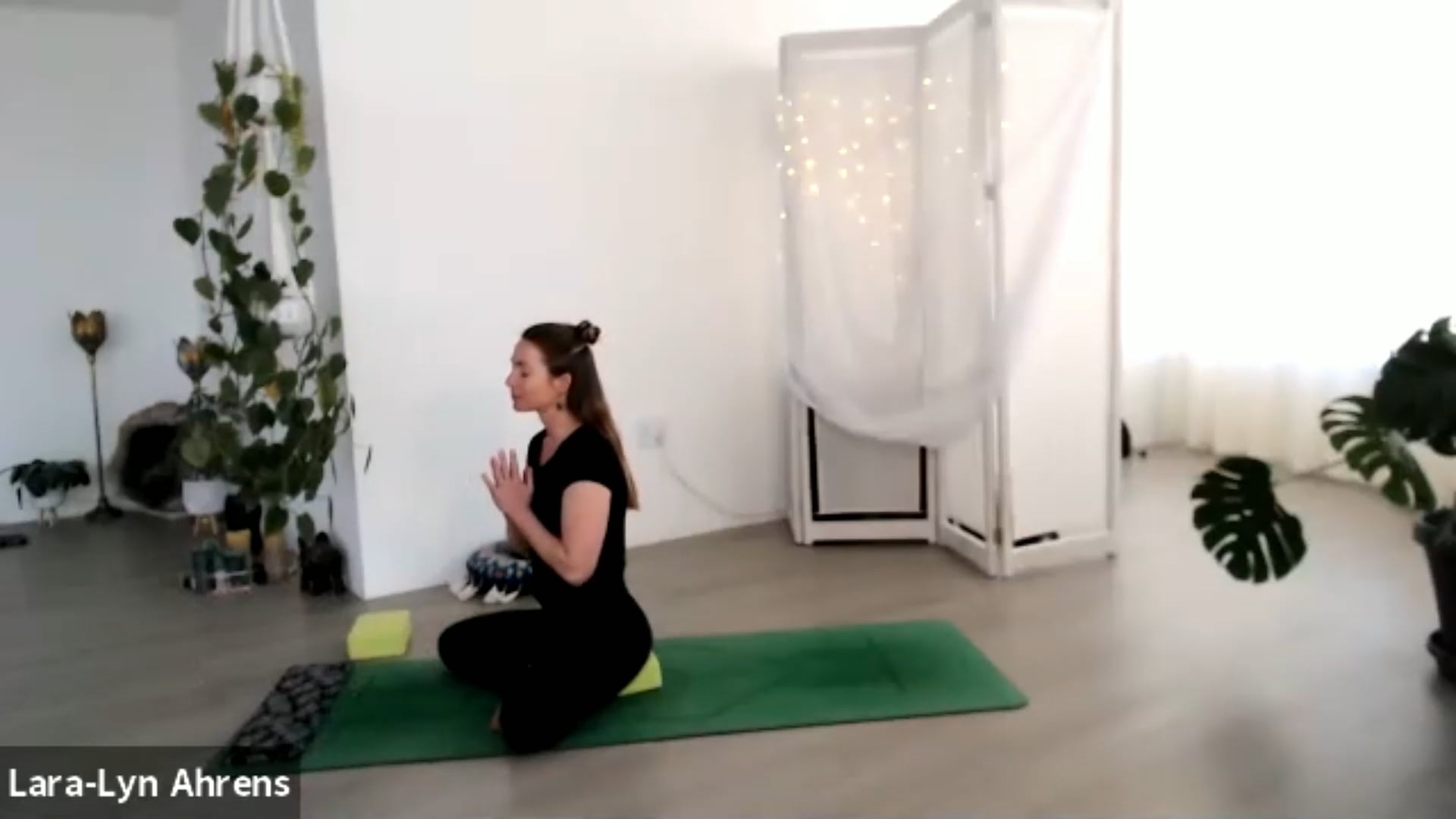 Flow & Static Poses - 20210817