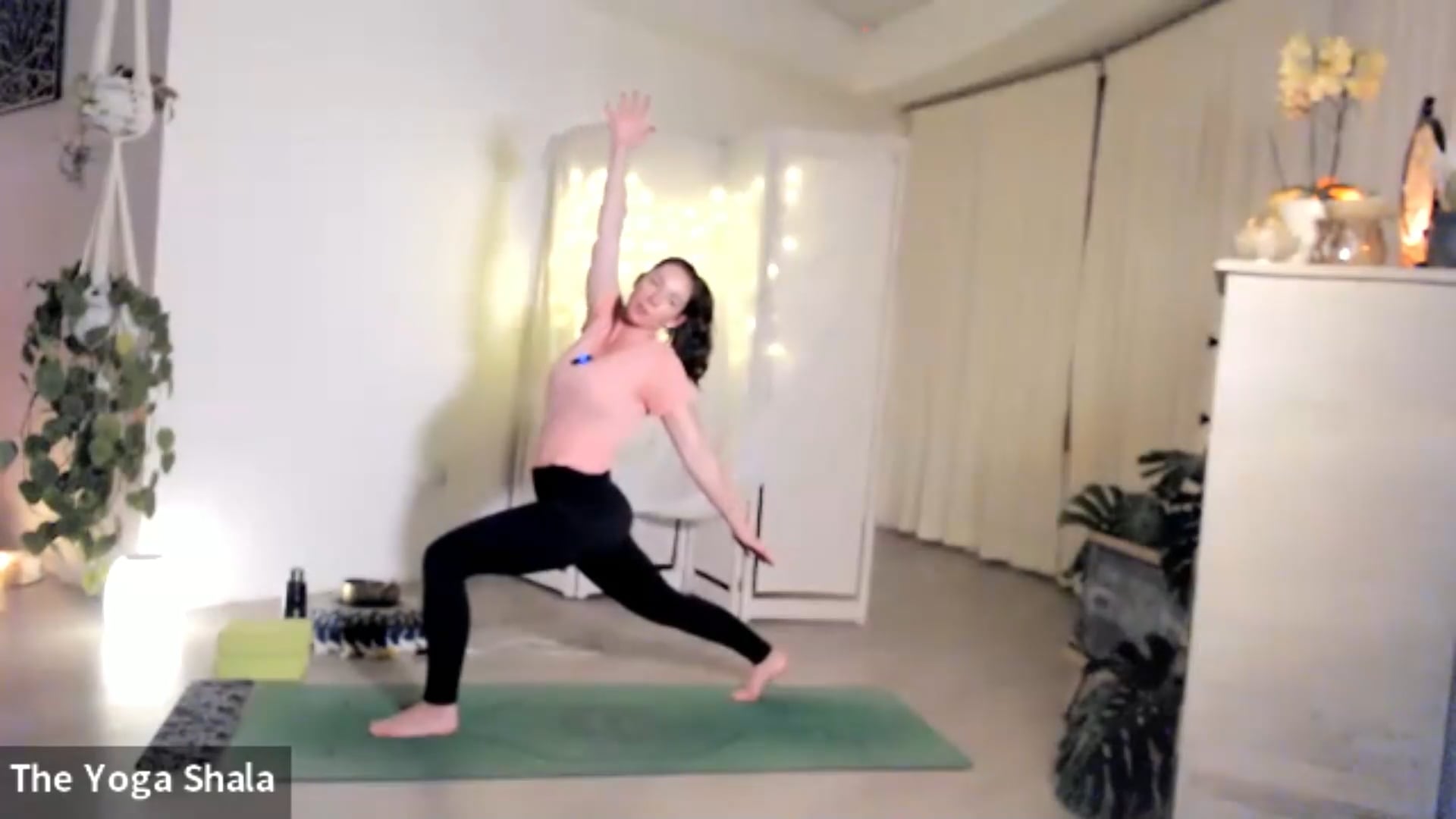 Vinyasa - New Moon Purification Practice - 20220629