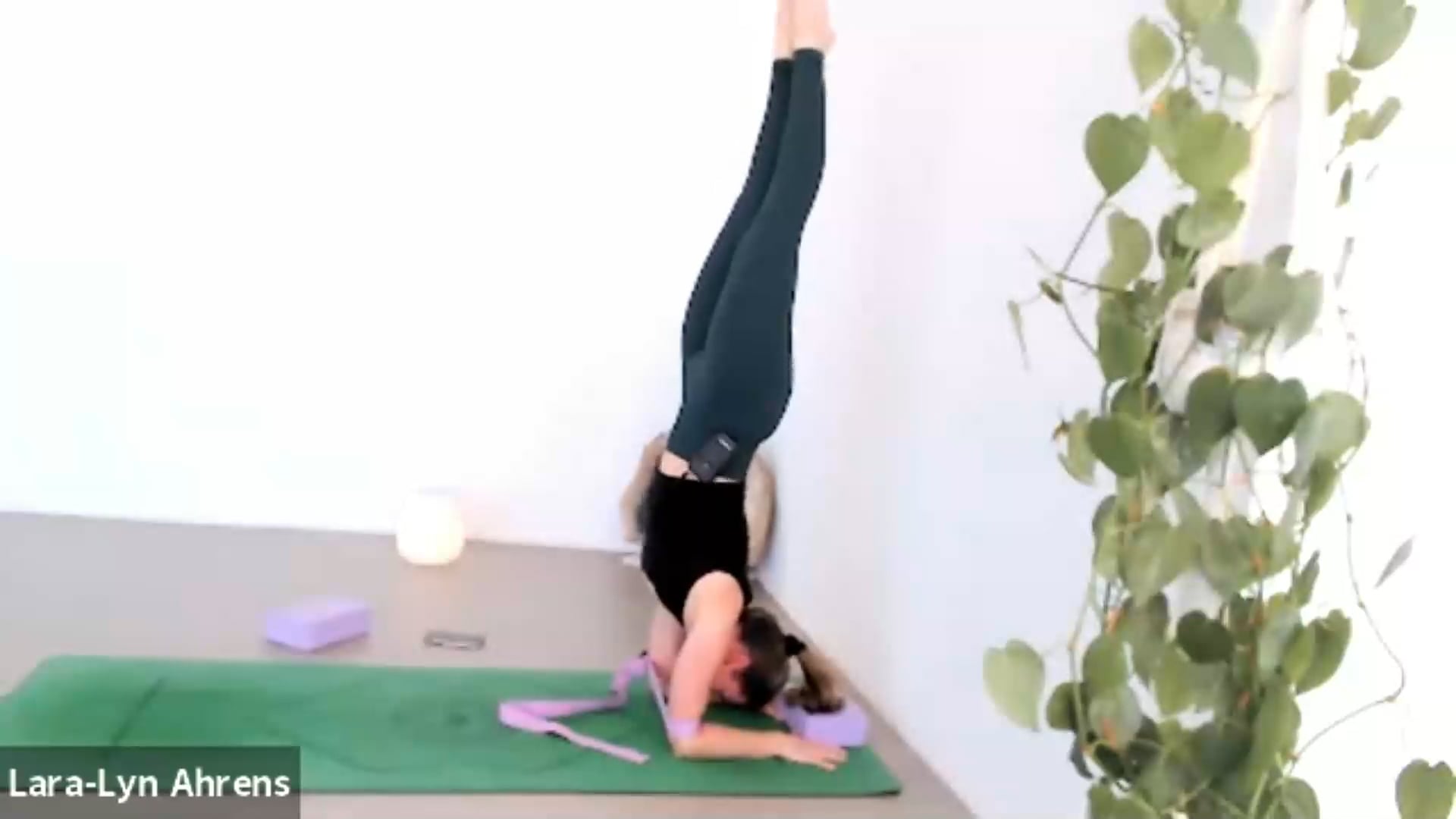 Forearm-stand Fun - 20210327