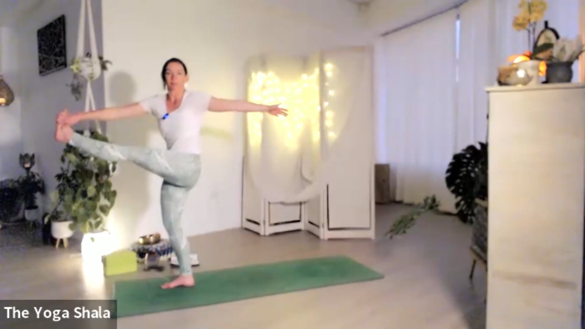 Vinyasa - Strong & Vital Bird of Paradise - 20220810