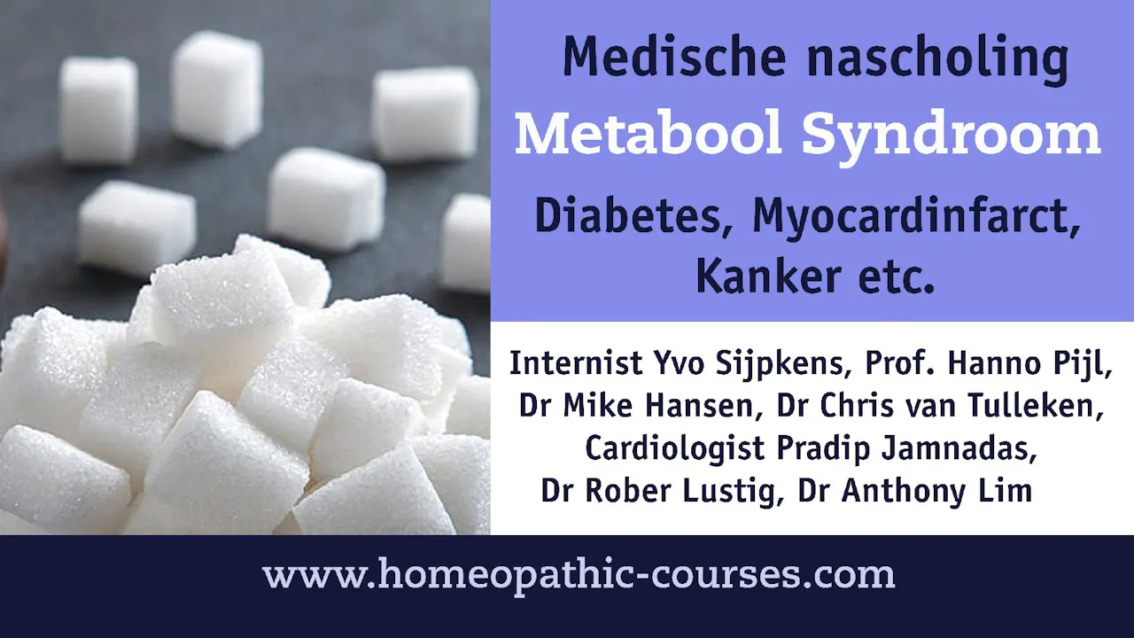 Medische nascholing - Het metabool syndroom
