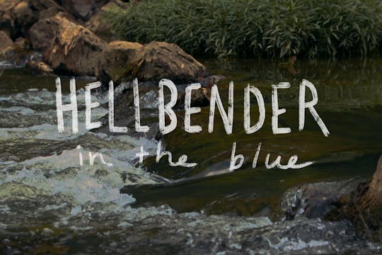 Hellbender in the Blue - Trailer