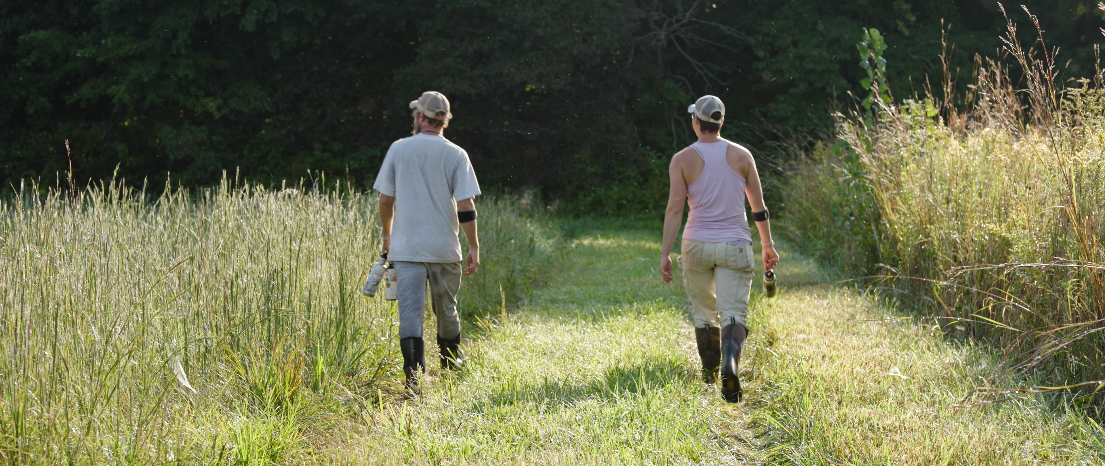 Nightfall Farm: A More Than Corn Story