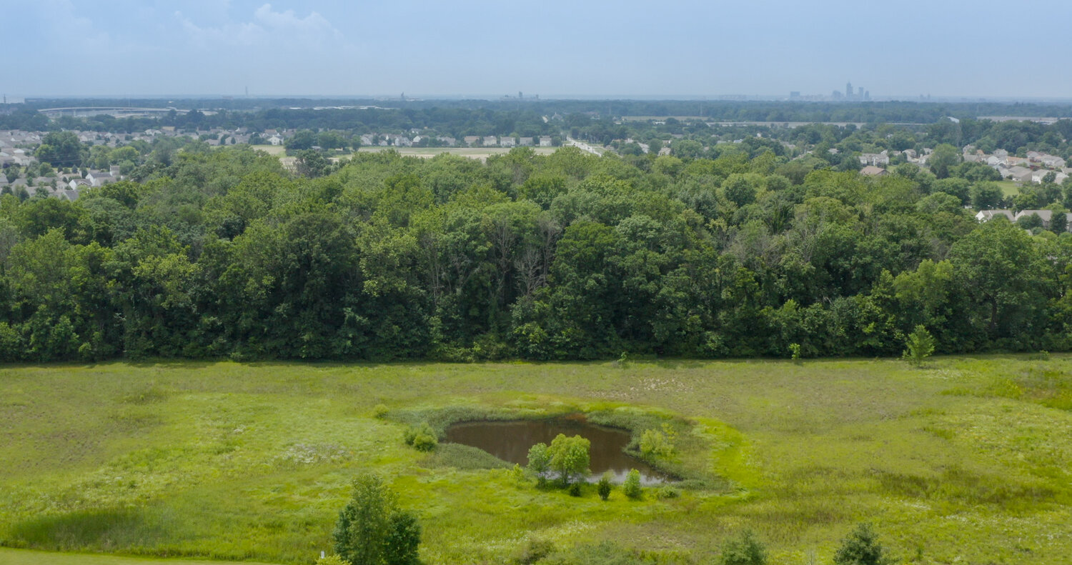 Our Wetlands: Working to Protect Us