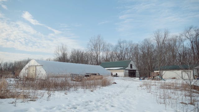 Full Hand Farm: A More Than Corn Stor...