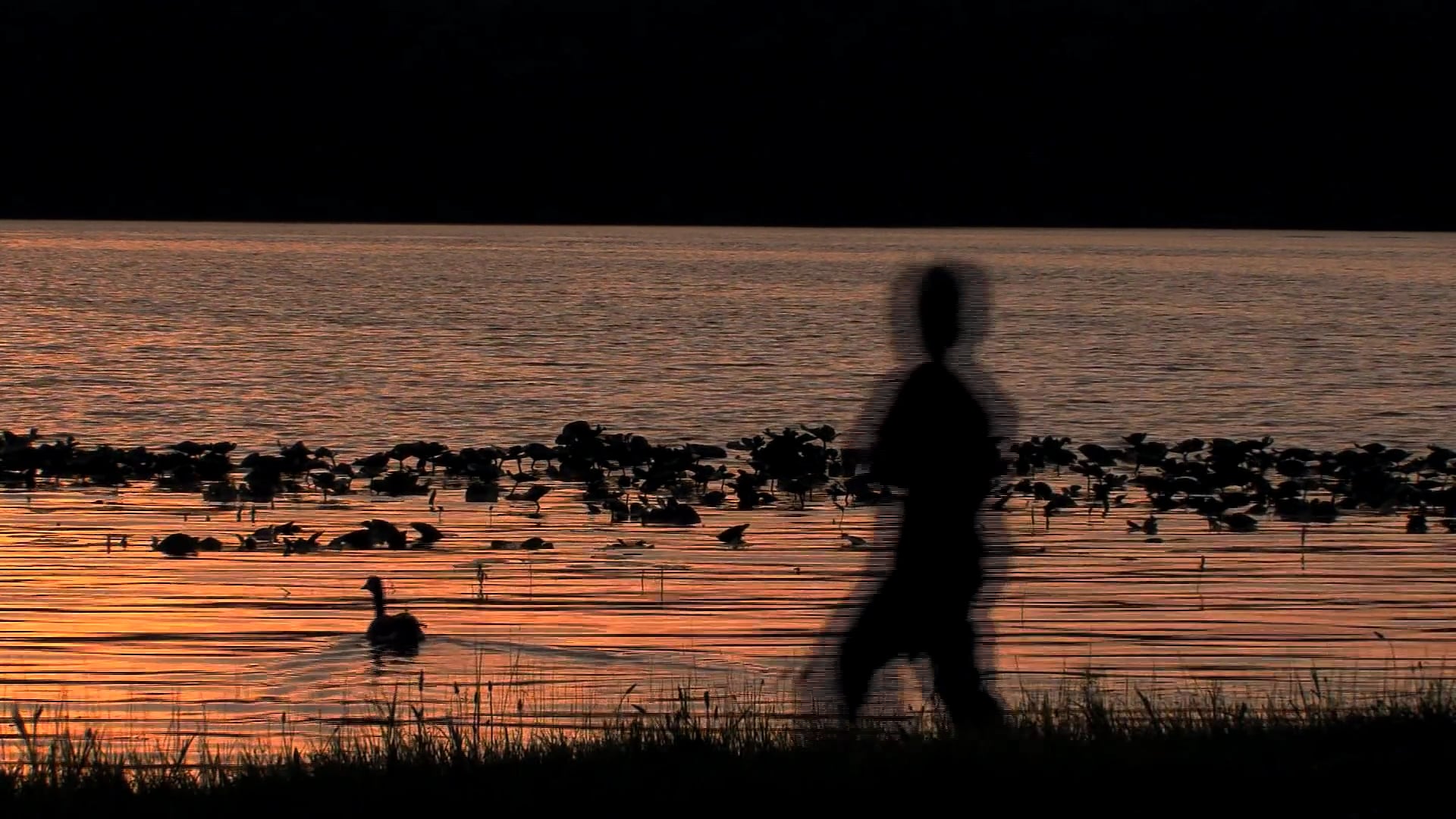 LaPorte Indiana - Extra: Dunk Featurette