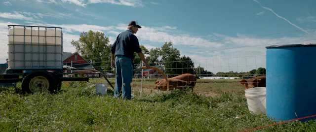 Hawkins Family Farm - A More Than Cor...