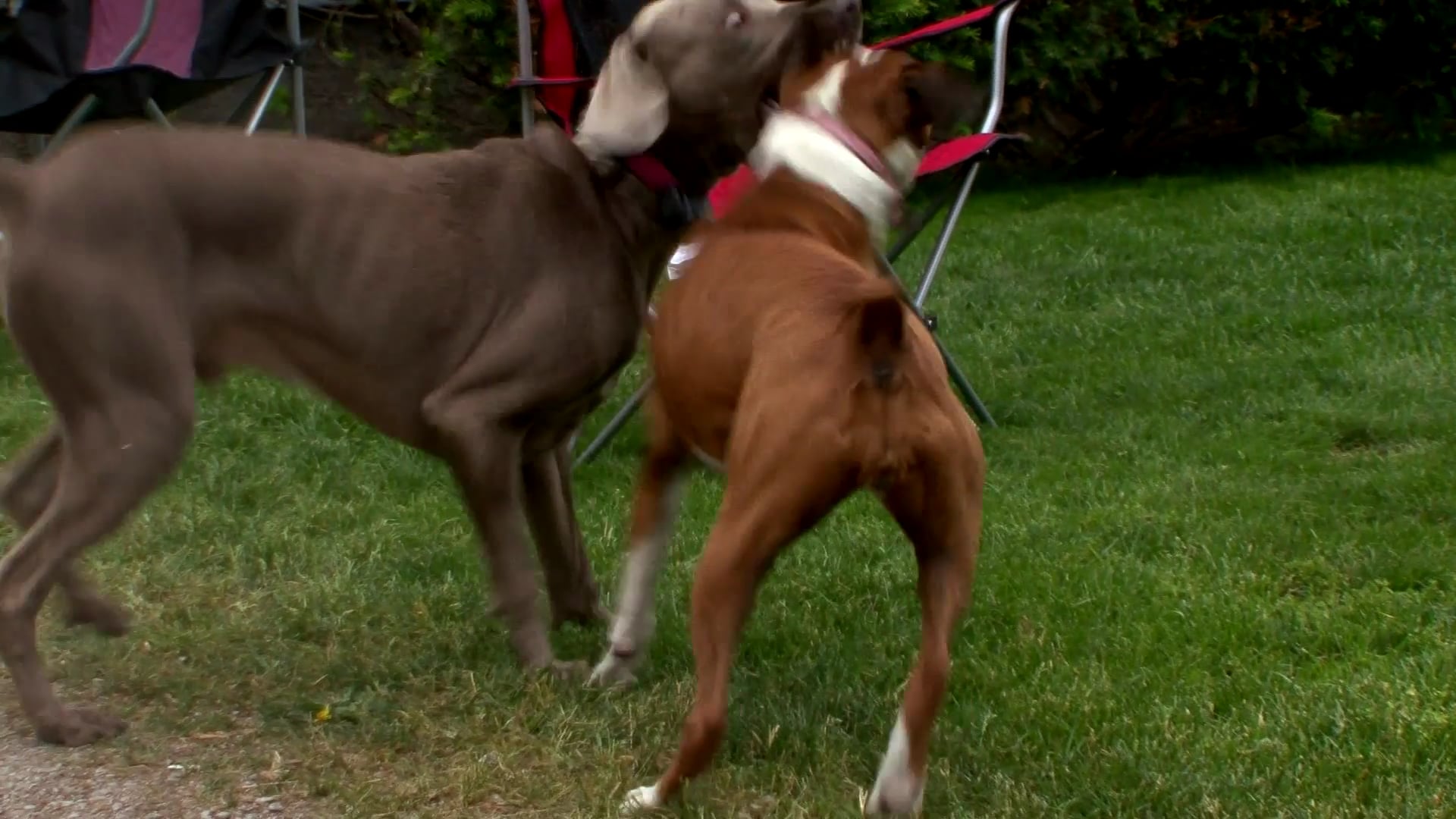 LaPorte Indiana - Extra: Larson Featurette