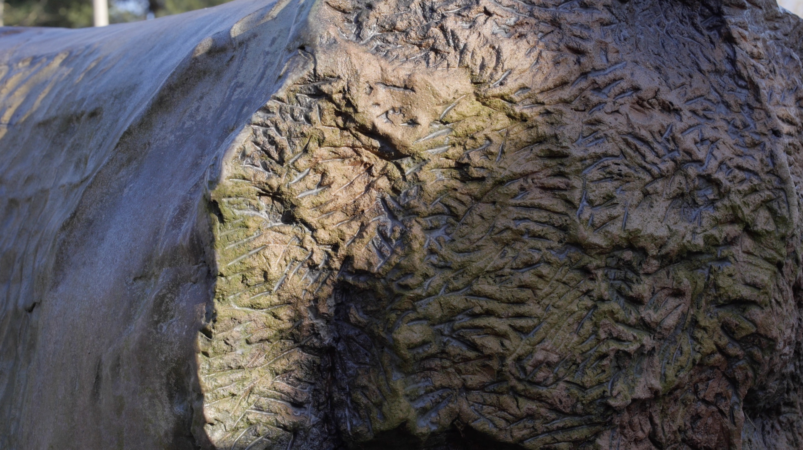 Glass Breakfast: Featuring Robert Pulley