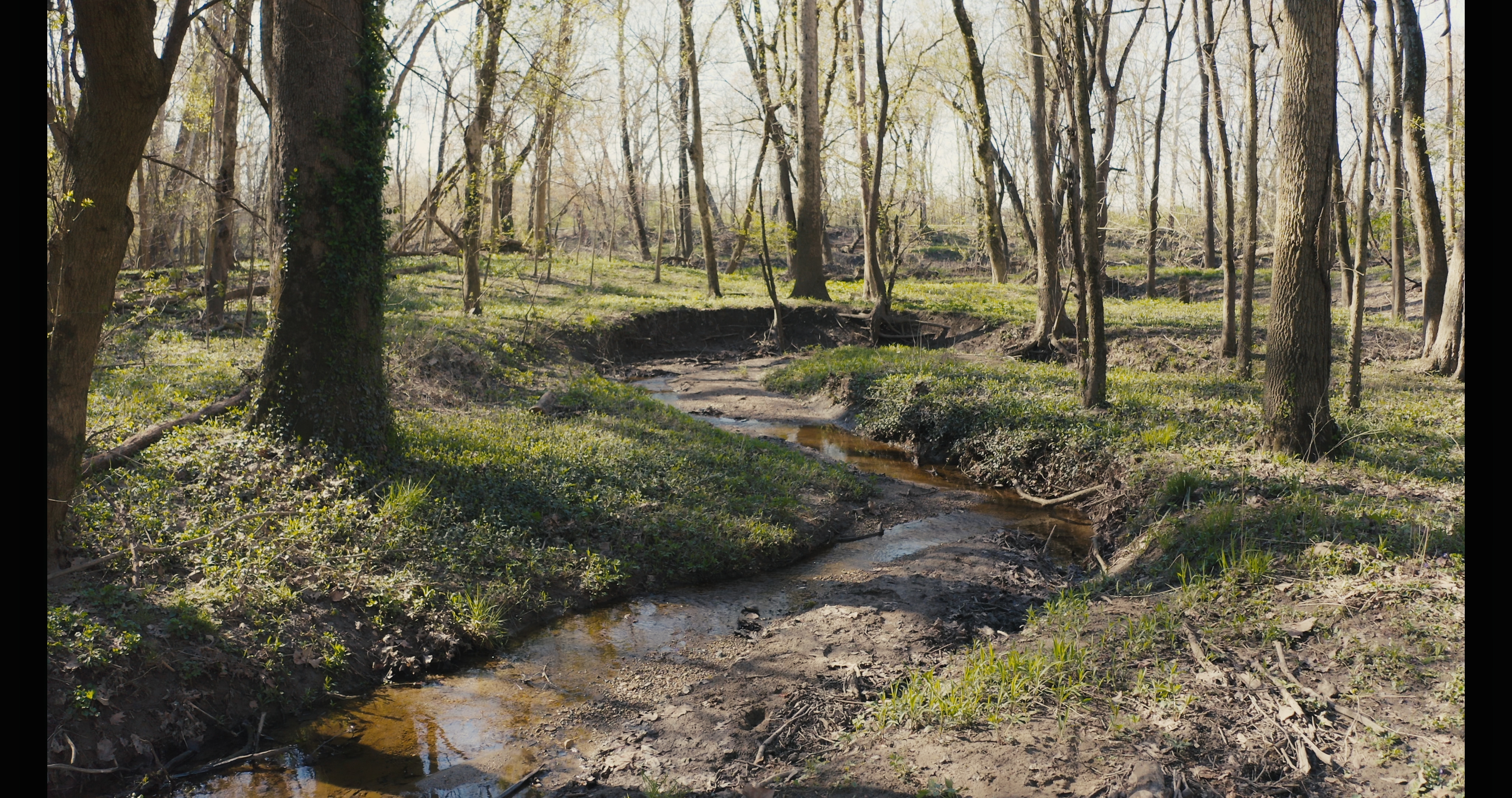 Spring Slow Moments: Blatchley Nature Preserve & Meltzer Woods